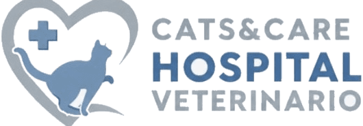 Cats & Care Hospital Veterinario